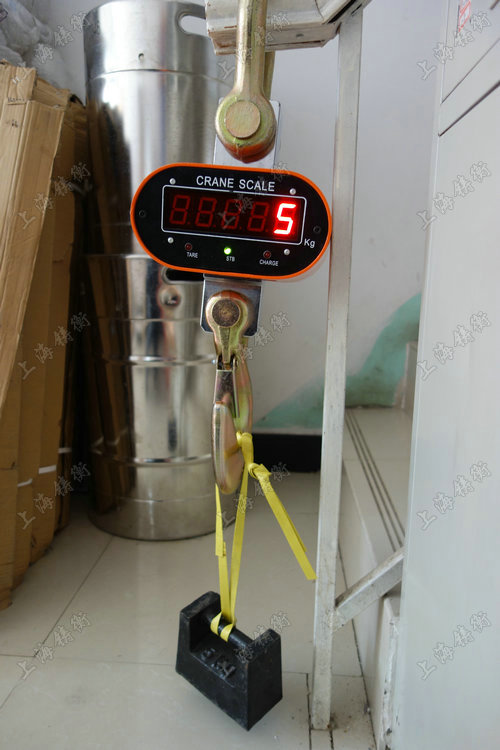 電子吊秤直視型